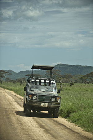 Game Drive, Masai Mara Game Reserve